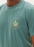 124952_3153_3_M_TSHIRT-ESTONADA-DIAS-DE-VERAO