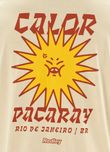 124956_004_3_M_TSHIRT-ESTONADA-PACARAY