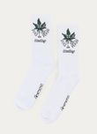125034_011_1_S_MEIA-CANELADA-CANO-ALTO-DIAS-DE-VERAO